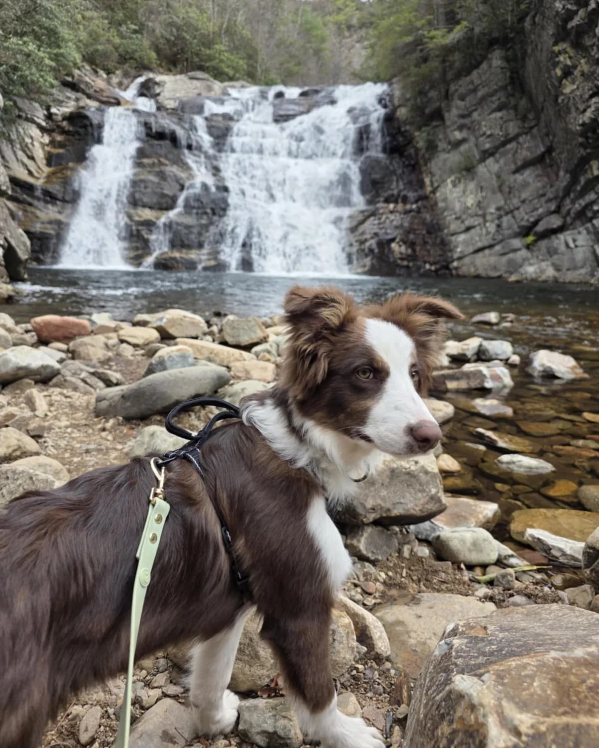 What a Structured Training Walk Actually Looks Like
